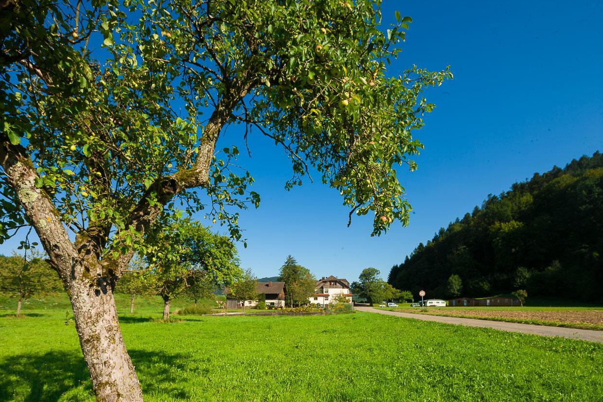 Landgasthof Kinzigstrand Biberach bei Offenburg Eksteriør bilde
